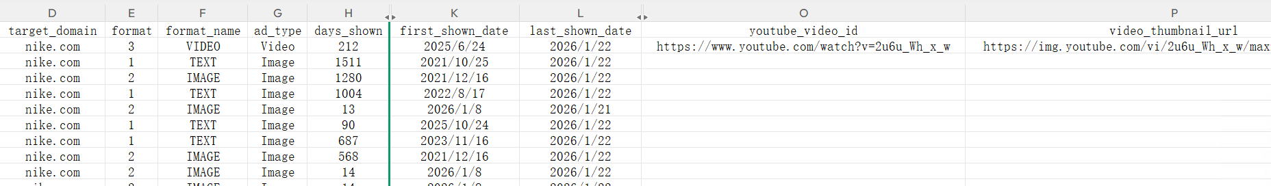 Excel export showing video_url and youtube_video_id columns for video ads